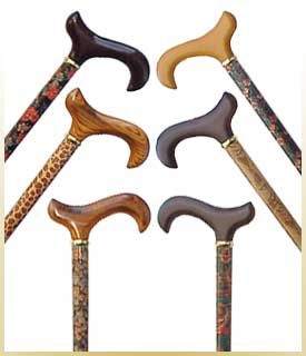hurrycane canes